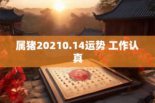 属猪20210.14运势 工作认真