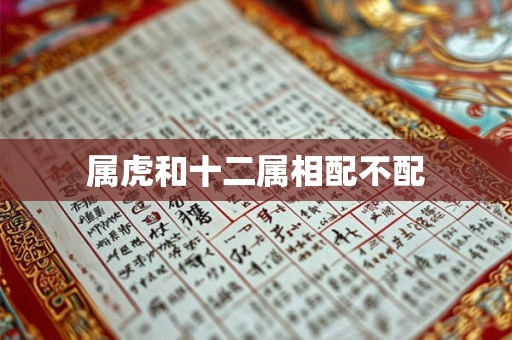 属虎和十二属相配不配