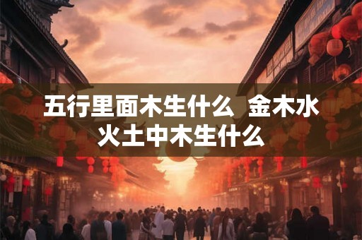 五行里面木生什么  金木水火土中木生什么