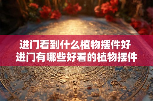 进门看到什么植物摆件好 进门有哪些好看的植物摆件 进门看到什么植物摆件好 进门有哪些好看的植物摆件