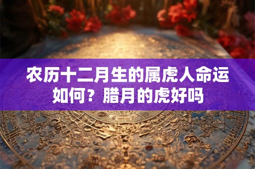 农历十二月生的属虎人命运如何？腊月的虎好吗