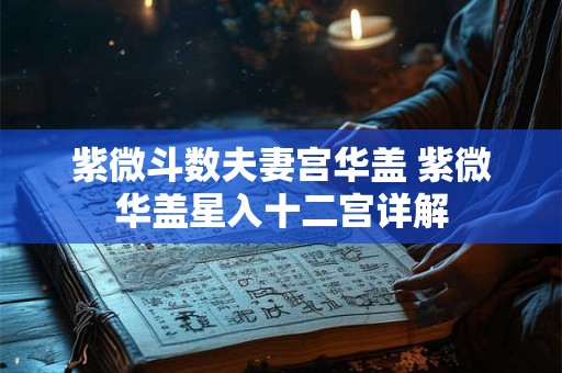 紫微斗数夫妻宫华盖 紫微华盖星入十二宫详解