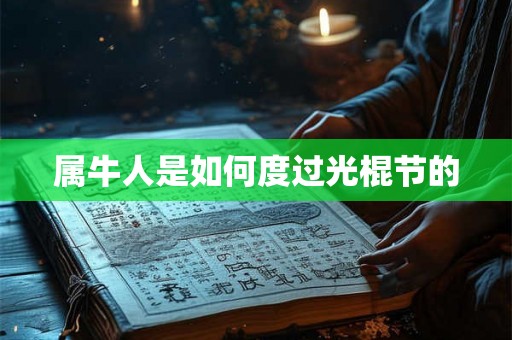 属牛人是如何度过光棍节的
