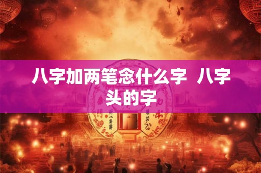 八字加两笔念什么字 八字头的字 八字加两笔念什么字 八字头的字