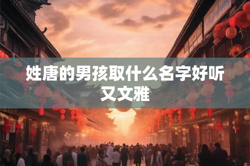 姓唐的男孩取什么名字好听又文雅