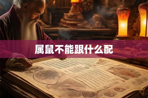 属鼠不能跟什么配