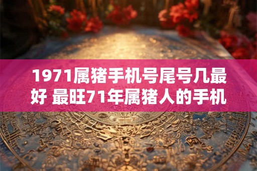 1971属猪手机号尾号几最好 最旺71年属猪人的手机尾号