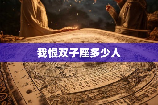 我恨双子座多少人
