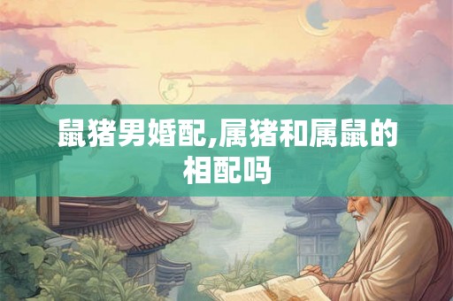 鼠猪男婚配,属猪和属鼠的相配吗