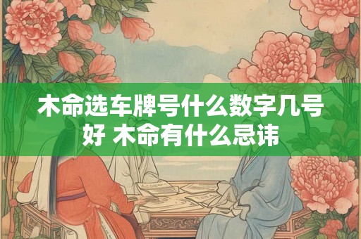 木命选车牌号什么数字几号好 木命有什么忌讳 木命选车牌号什么数字几号好 木命有什么忌讳