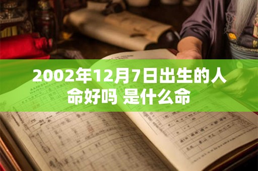 2002年12月7日出生的人命好吗 是什么命