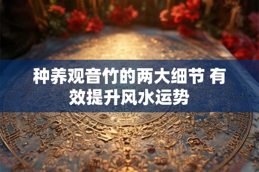 种养观音竹的两大细节 有效提升风水运势