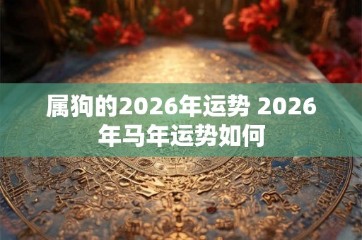 属狗的2026年运势 2026年马年运势如何 属狗的2026年运势 2026年马年运势如何