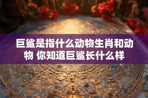 巨鲨是指什么动物生肖和动物 你知道巨鲨长什么样