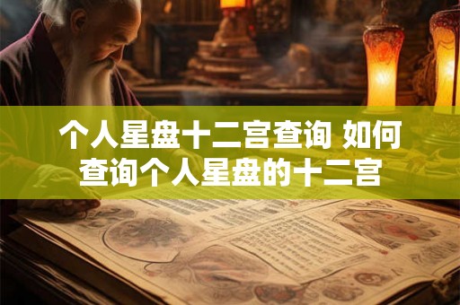 个人星盘十二宫查询 如何查询个人星盘的十二宫