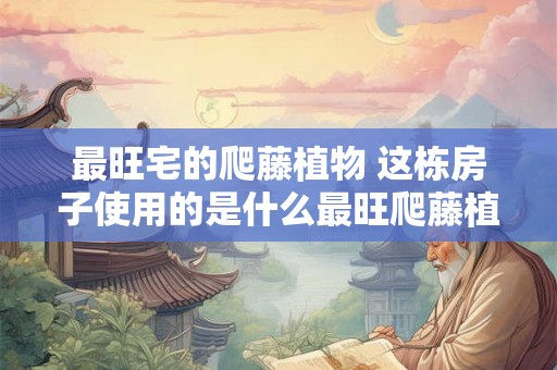 最旺宅的爬藤植物 这栋房子使用的是什么最旺爬藤植物