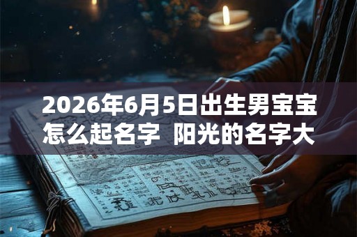 2026年6月5日出生男宝宝怎么起名字  阳光的名字大全