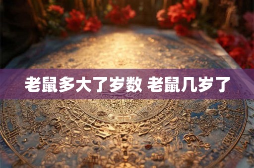 老鼠多大了岁数 老鼠几岁了