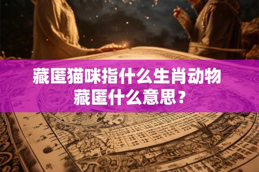 藏匿猫咪指什么生肖动物 藏匿什么意思？