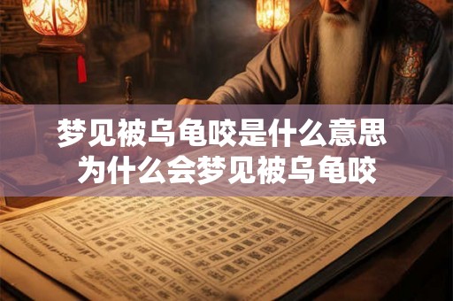 梦见被乌龟咬是什么意思 为什么会梦见被乌龟咬