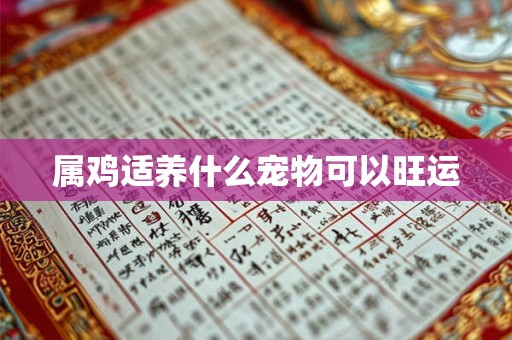 属鸡适养什么宠物可以旺运