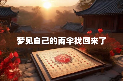梦见自己的雨伞找回来了