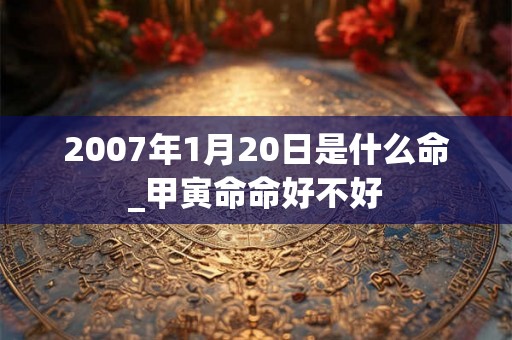 2007年1月20日是什么命_甲寅命命好不好 2007年1月20日是什么命_甲寅命命好不好