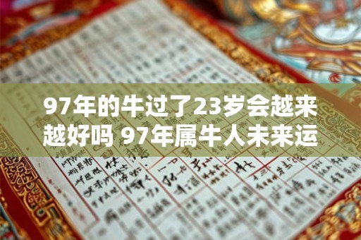 97年的牛过了23岁会越来越好吗 97年属牛人未来运势