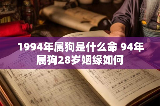 1994年属狗是什么命 94年属狗28岁姻缘如何