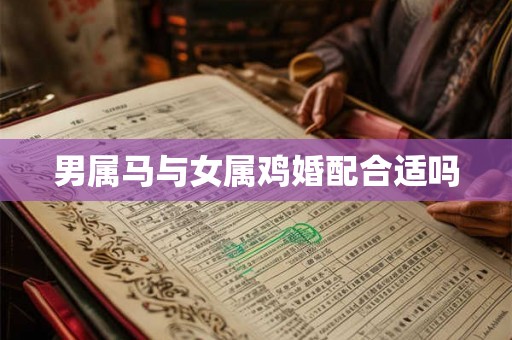 男属马与女属鸡婚配合适吗