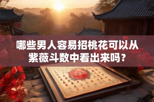 哪些男人容易招桃花可以从紫薇斗数中看出来吗？