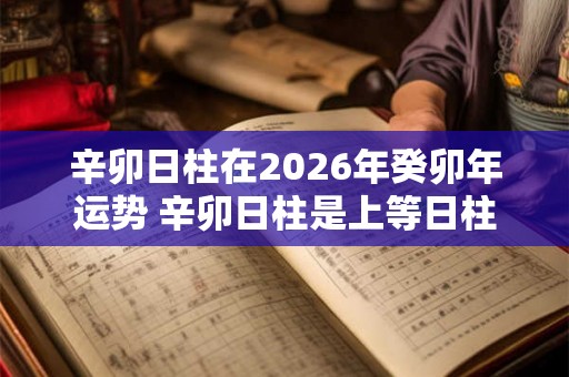 辛卯日柱在2026年癸卯年运势 辛卯日柱是上等日柱吗 辛卯日柱在2026年癸卯年运势 辛卯日柱是上等日柱吗