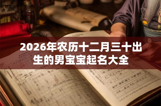 2026年农历十二月三十出生的男宝宝起名大全