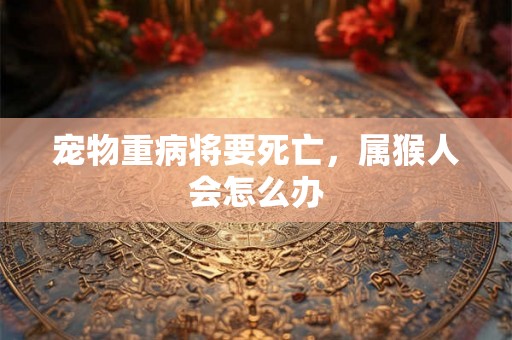 宠物重病将要死亡，属猴人会怎么办