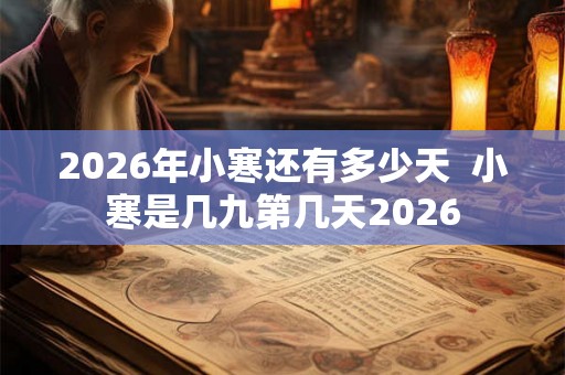 2026年小寒还有多少天  小寒是几九第几天2026