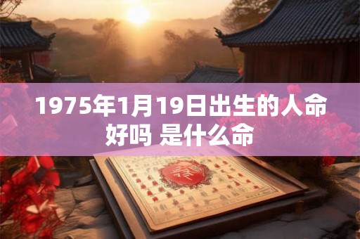 1975年1月19日出生的人命好吗 是什么命