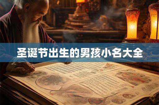 圣诞节出生的男孩小名大全