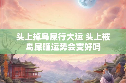 头上掉鸟屎行大运 头上被鸟屎砸运势会变好吗