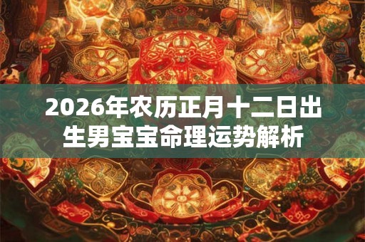 2026年农历正月十二日出生男宝宝命理运势解析