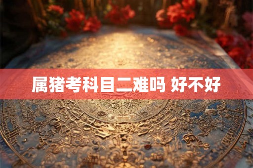 属猪考科目二难吗 好不好