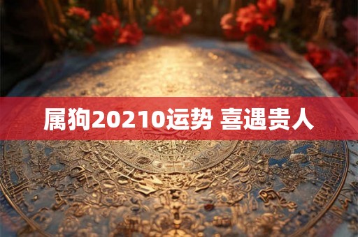 属狗20210运势 喜遇贵人