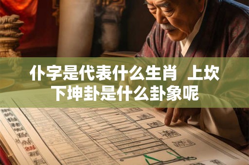 仆字是代表什么生肖  上坎下坤卦是什么卦象呢