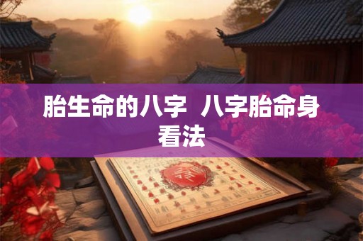 胎生命的八字  八字胎命身看法