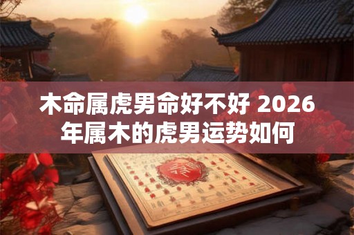 木命属虎男命好不好 2026年属木的虎男运势如何