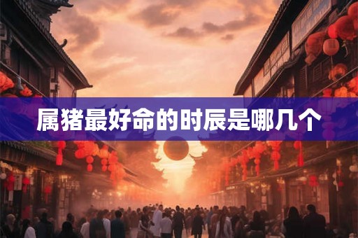 属猪最好命的时辰是哪几个
