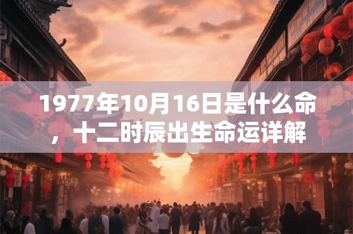 1977年10月16日是什么命，十二时辰出生命运详解