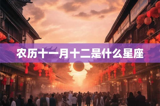 农历十一月十二是什么星座