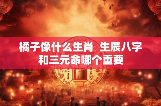 橘子像什么生肖 生辰八字和三元命哪个重要 橘子像什么生肖 生辰八字和三元命哪个重要