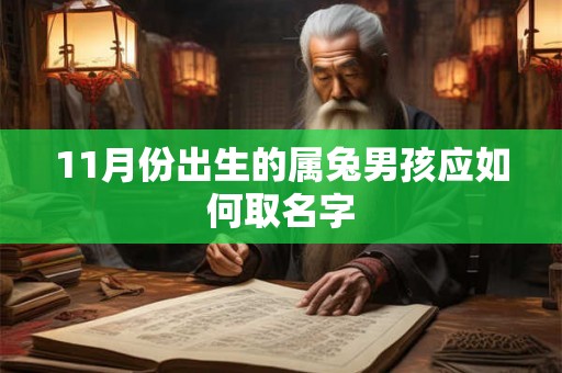 11月份出生的属兔男孩应如何取名字 11月份出生的属兔男孩应如何取名字