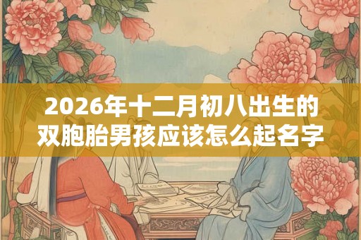 2026年十二月初八出生的双胞胎男孩应该怎么起名字，宜用哪些字好